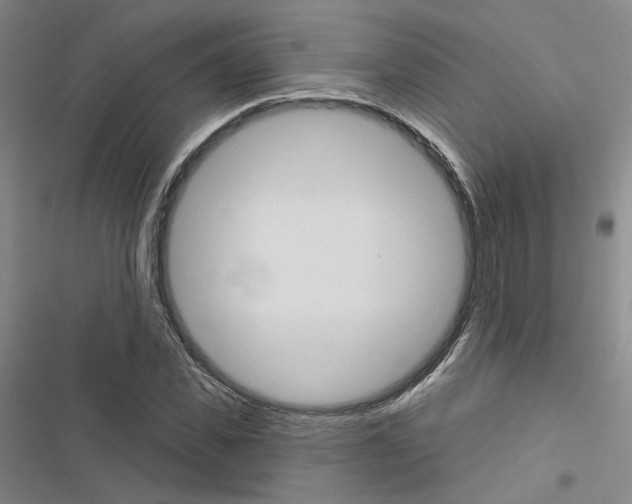 X0000116450925201001191549