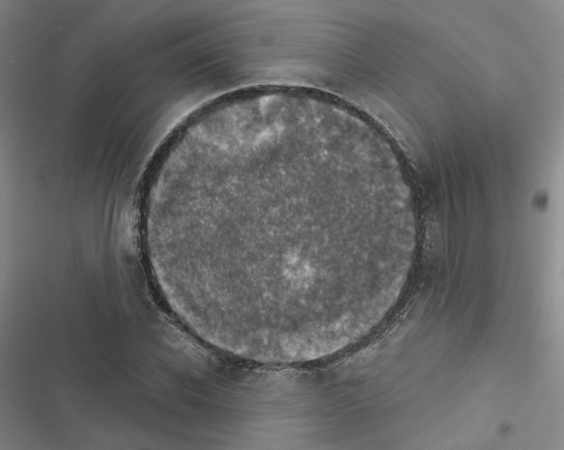 X0000116450926201001191549