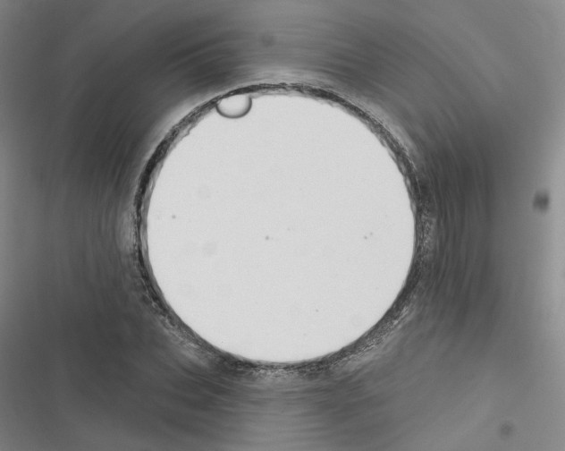 X0000116450927201001191549