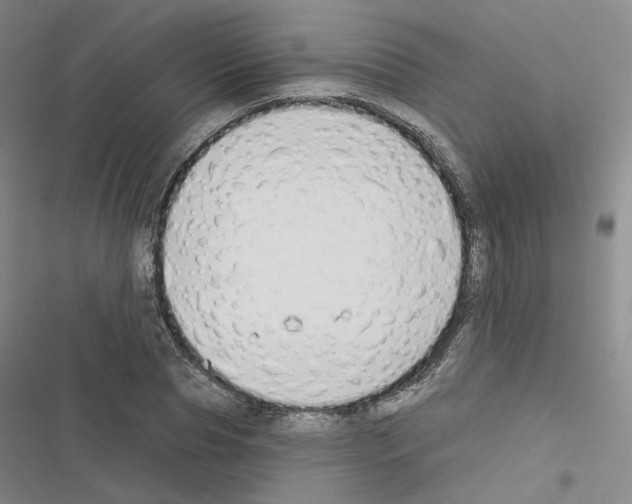 X0000116450929201001191549