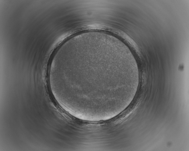 X0000116450930201001191549