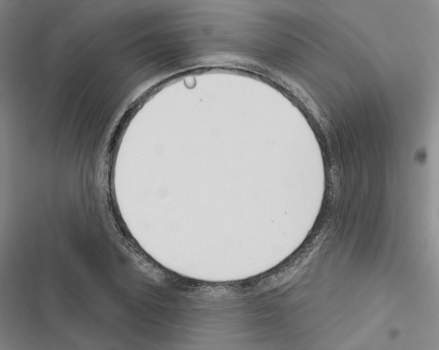 X0000116450931201001191550