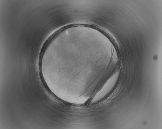X0000116450935201001191550