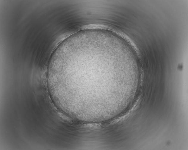 X0000116450937201001191550