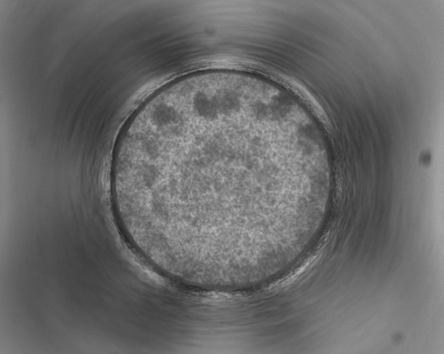 X0000116450938201001191550