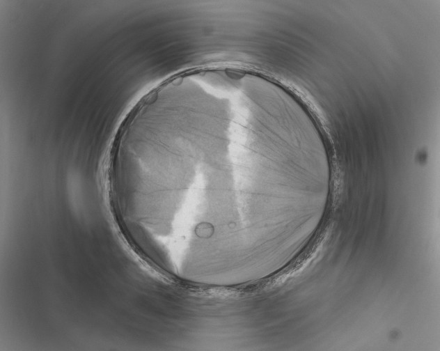 X0000116450941201001191550