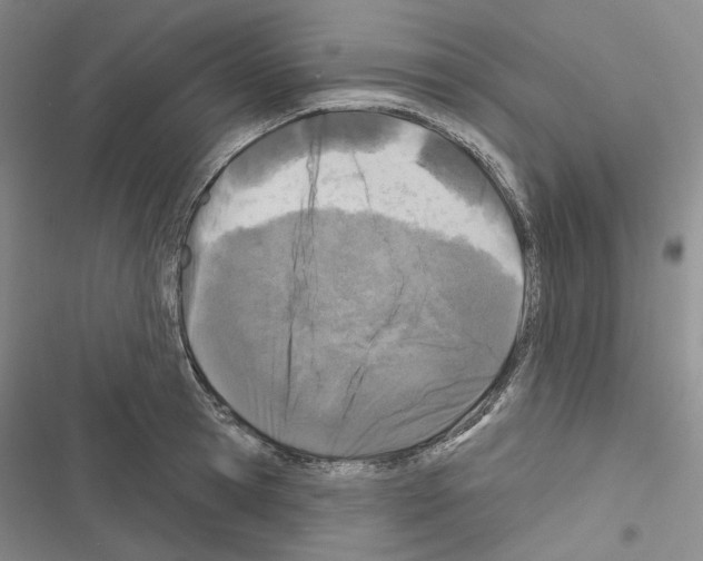 X0000116450945201001191550