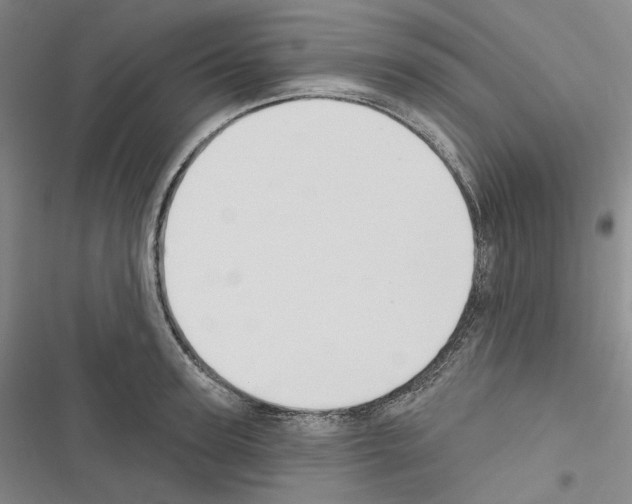 X0000116450947201001191550