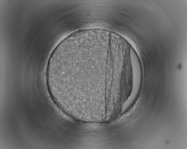 X0000116450949201001191550