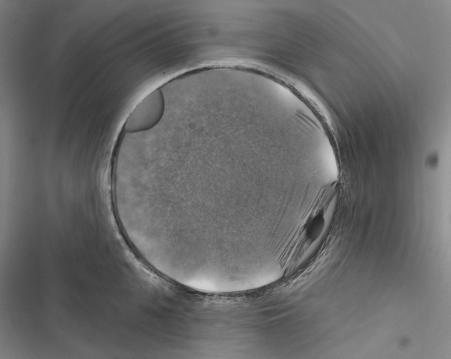 X0000116450951201001191550
