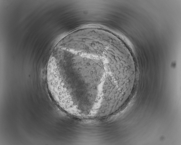 X0000116450953201001191550