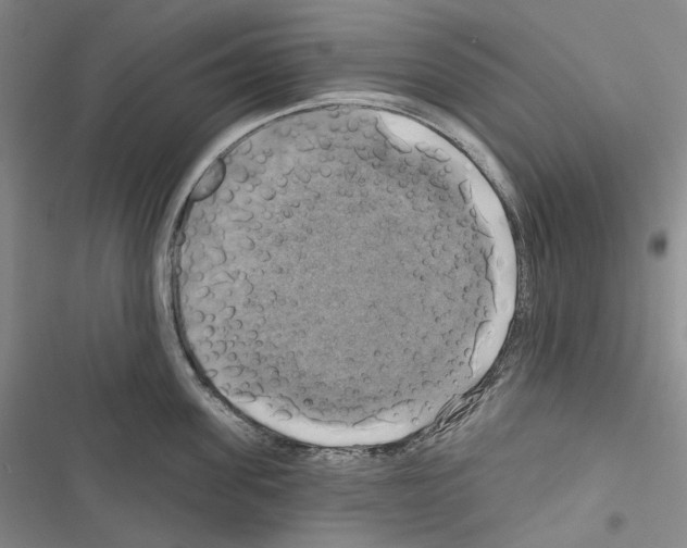 X0000116450955201001191550