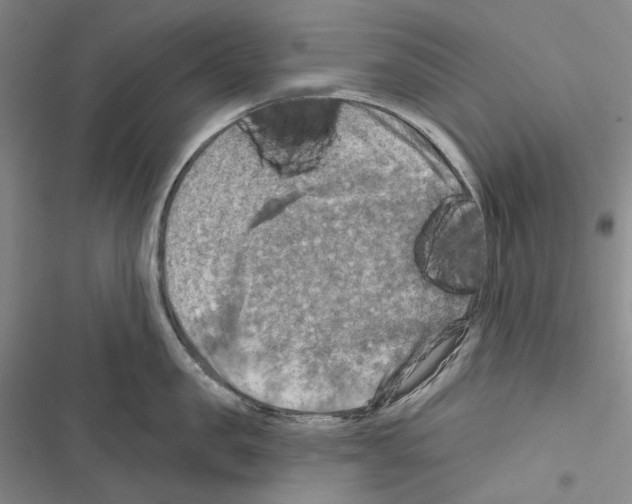 X0000116450957201001191550