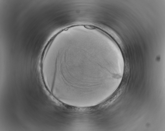 X0000116450958201001191550