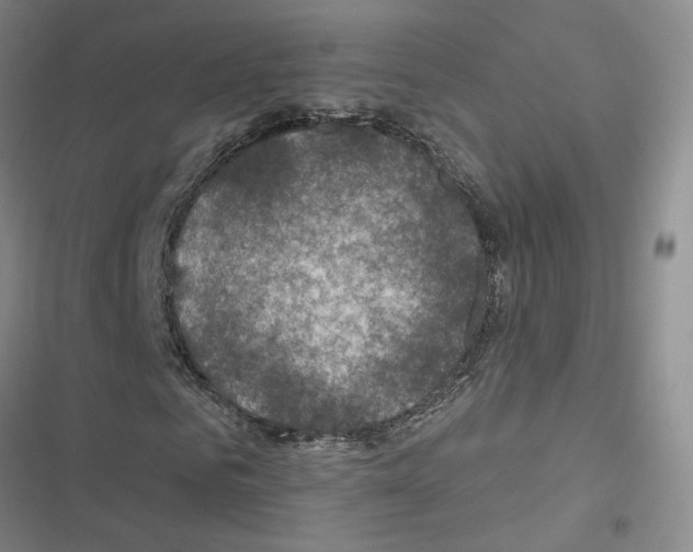 X0000116450961201001191549