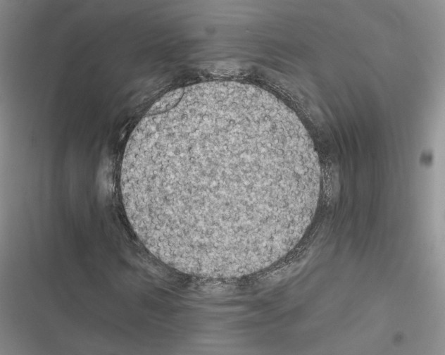 X0000116450962201001191549