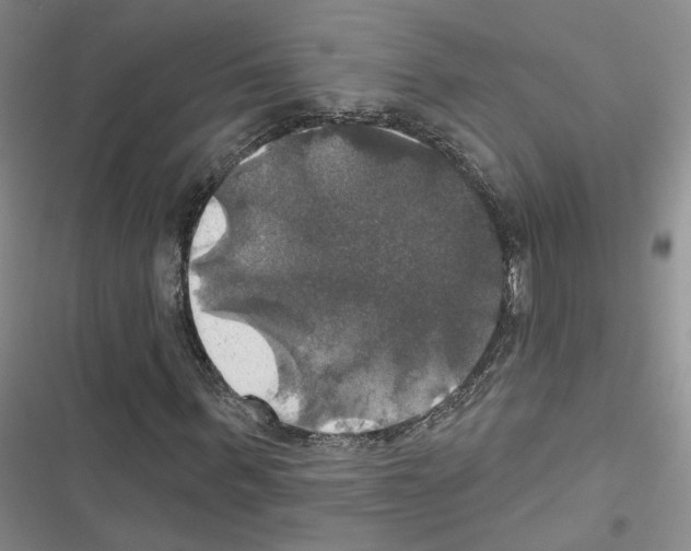 X0000116450963201001191549
