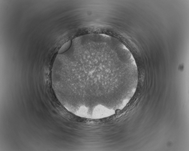 X0000116450964201001191549