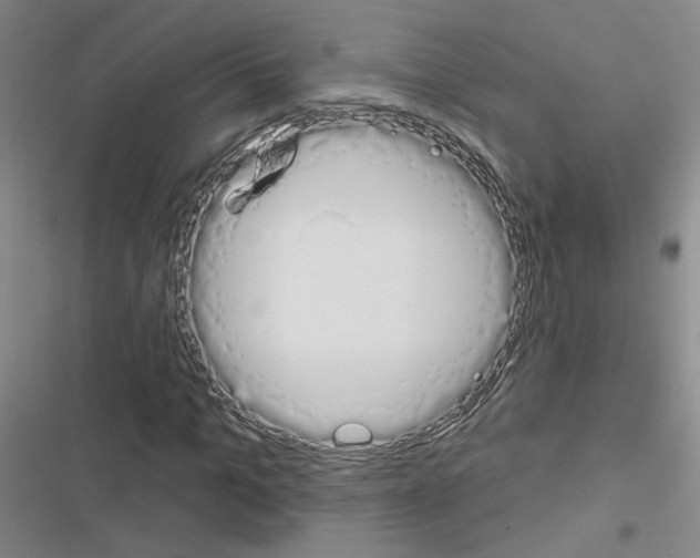 X0000116450965201001191549