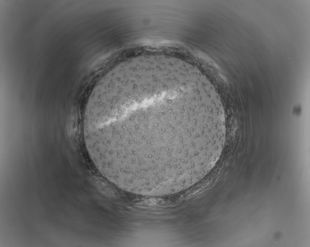 X0000116450966201001191549