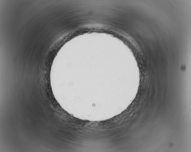 X0000116450967201001191549