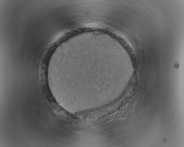 X0000116450968201001191549