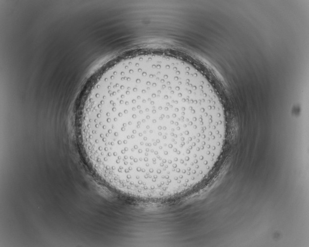 X0000116450970201001191549