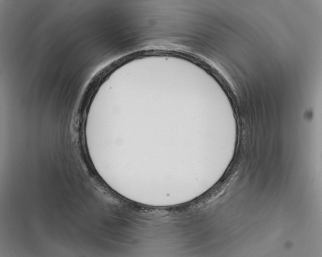 X0000116450971201001191549