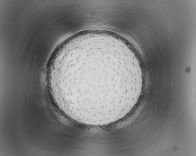 X0000116450974201001191549