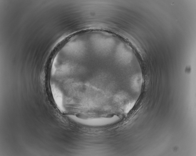 X0000116450975201001191549