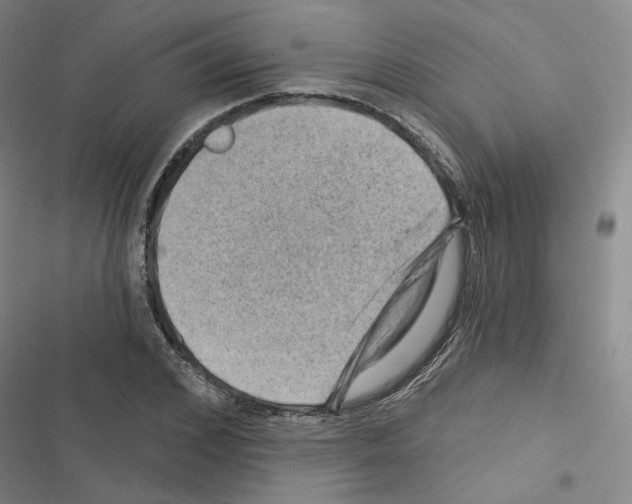 X0000116450976201001191549