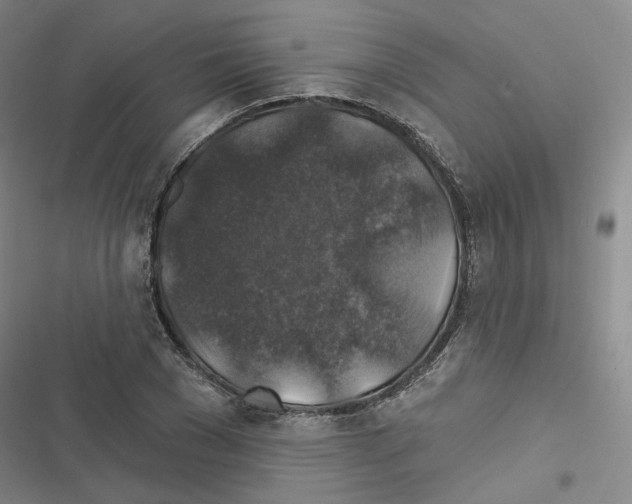 X0000116450977201001191549