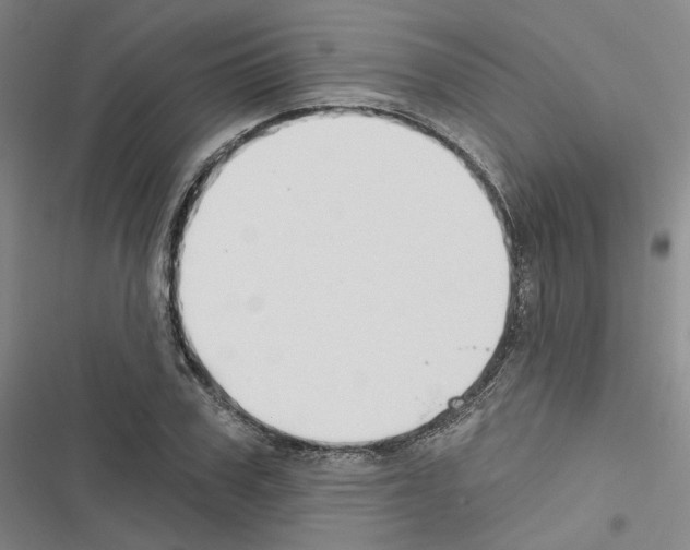 X0000116450979201001191549
