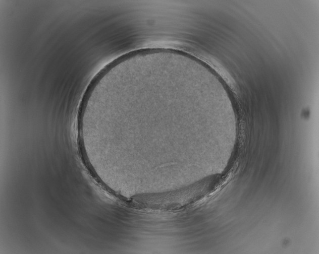 X0000116450980201001191549