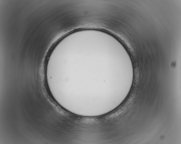 X0000116450982201001191549