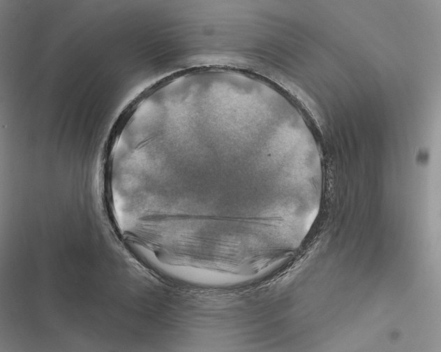 X0000116450983201001191549