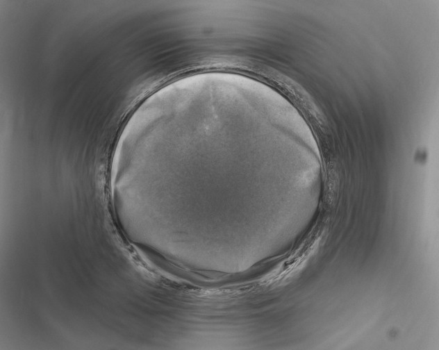 X0000116450985201001191549