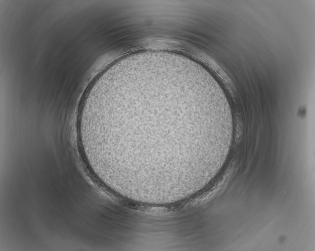 X0000116450986201001191549