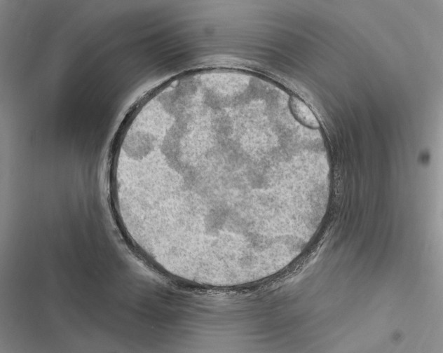 X0000116450987201001191549