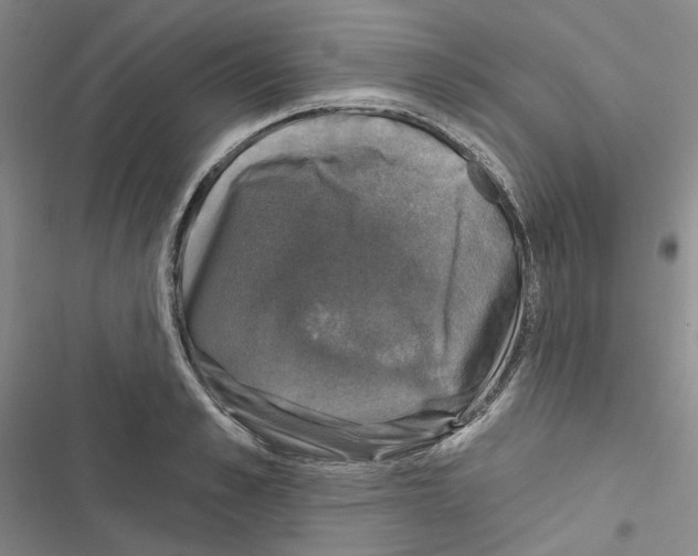 X0000116450989201001191549
