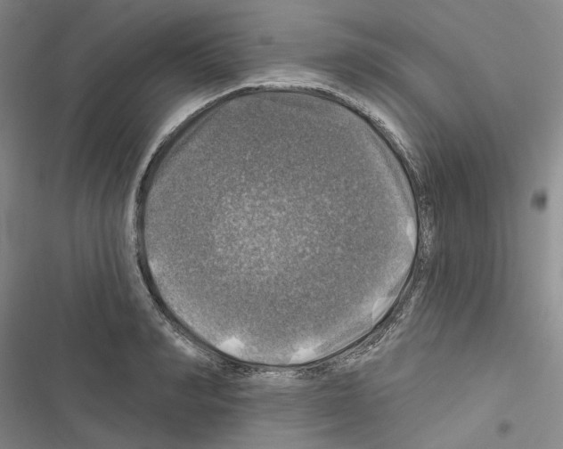 X0000116450990201001191549