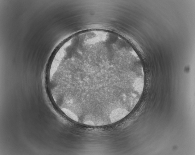 X0000116450991201001191549