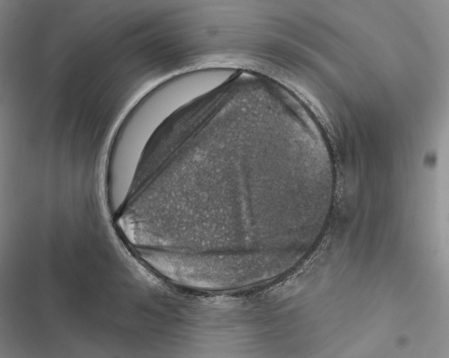 X0000116450992201001191549