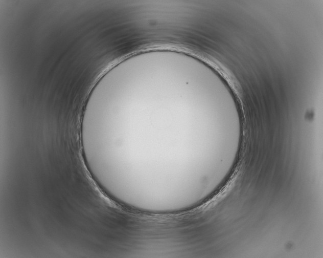 X0000116450993201001191549