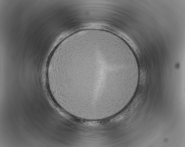 X0000116450994201001191549