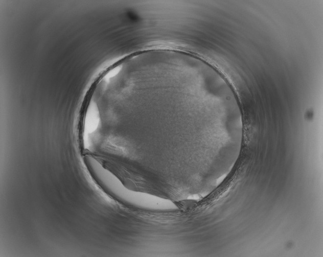 X0000116450995201001191549