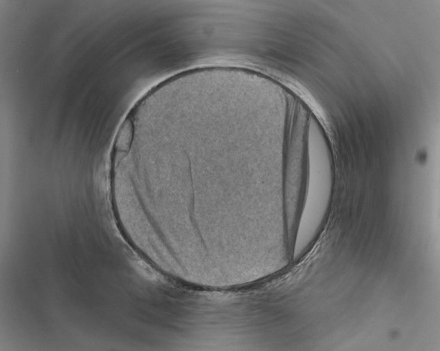 X0000116450996201001191549