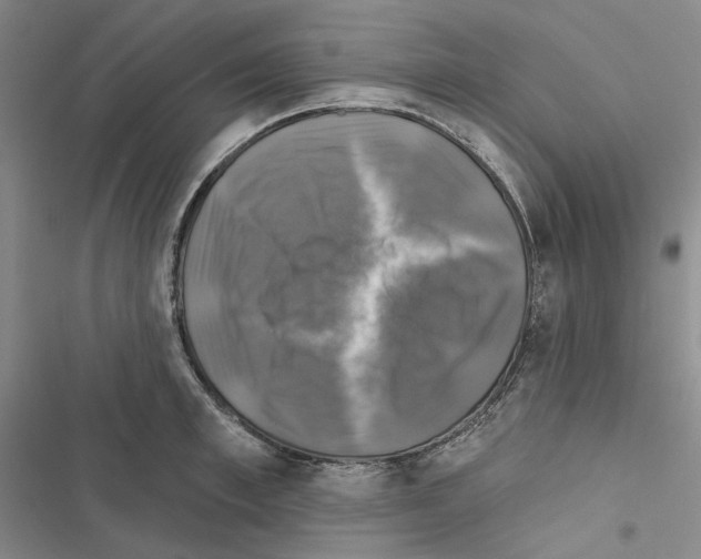 X0000116450997201001191549
