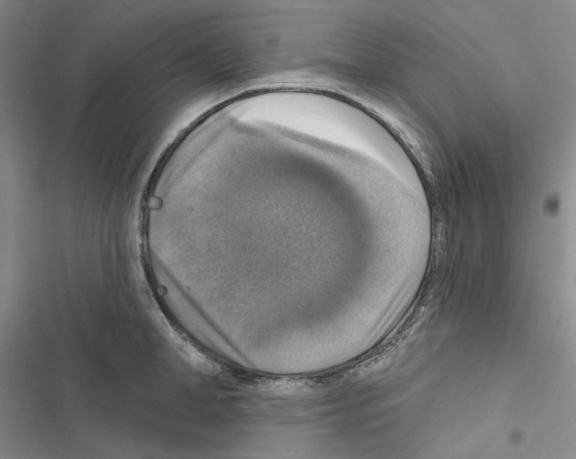 X0000116450998201001191549