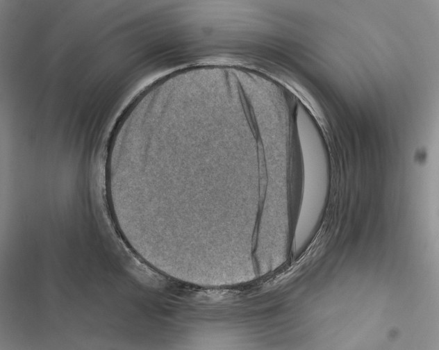 X0000116451000201001191549
